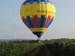 montgolfière au-dessus du vignoble de Bordeaux, Saint Emilion, Gironde