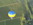 montgolfière au-dessus du vignoble de Bordeaux, Saint Emilion, Gironde, Aquitaine, Balade en montgolfière, Baptême de l'air en montgolfière
