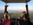 vol en montgolfière "Bordeaux"  vol en montgolfière au-dessus du vignoble de Saint Emilion 